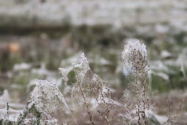 Kui vaatad ligemalt, siis näed, kui kohutav see on.