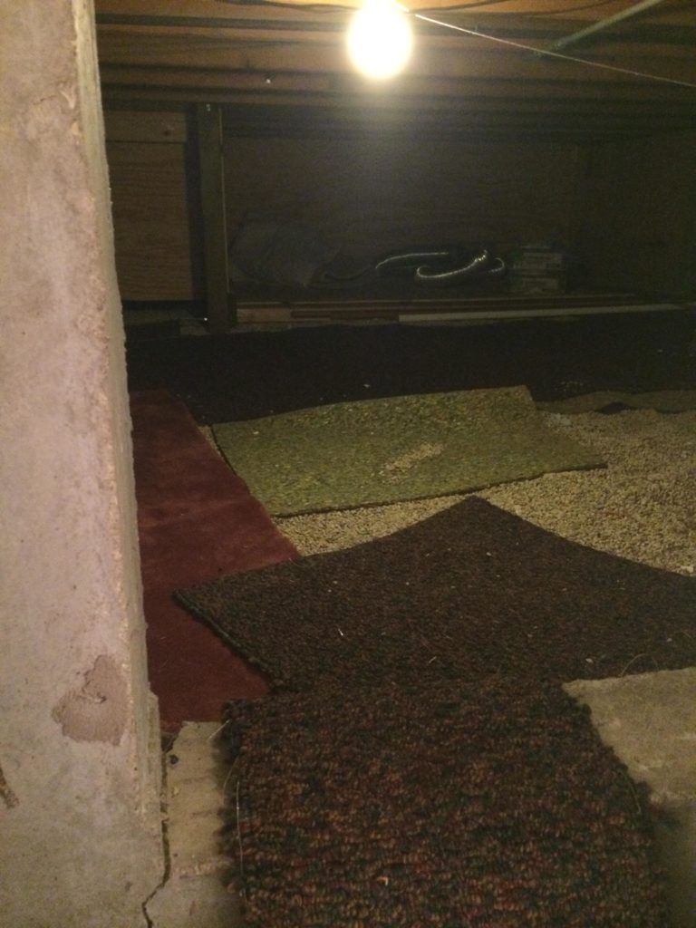 Ruum oli mõeldud soojaveeboileri jaoks. Üllatav oli aga see, et ruum oli vaibaga kaetud