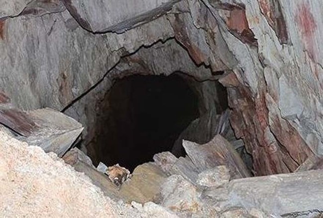 Kas sa näed seda, mida minagi näen...