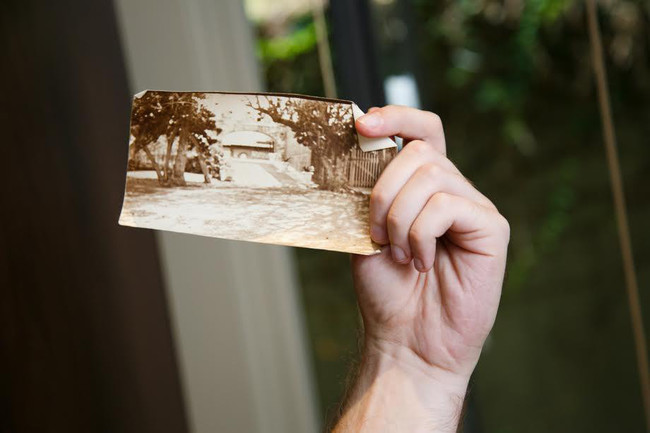 Kas see viitas vasakul olevale puule?