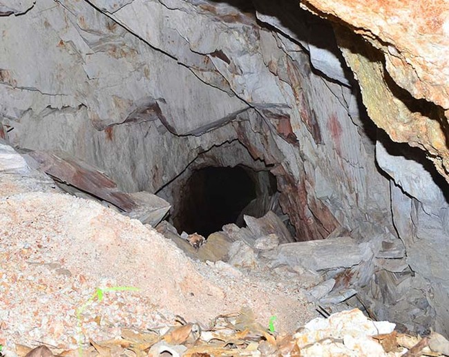 Kuid vaata täpsemalt, kui seda fotot suurendada.