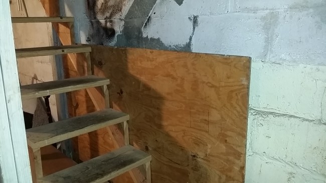 Mees otsustas uurida, miks see seal on.