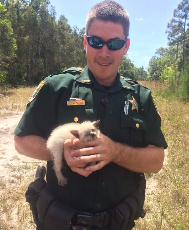 Kassipoegade tervis tundus olevat veel korras, ainult väsinud ja väga näljased.