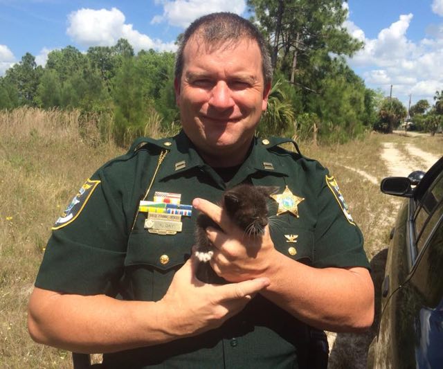 Kassipojad olid 3-4 nädalat vanad.