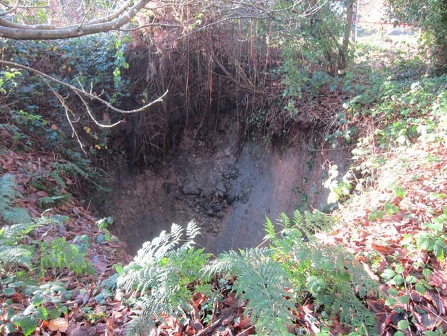 Mees tegi aias tööd, kui äkki vajus maapind lihtsalt ilma mingite hoiatusmärkideta ära.