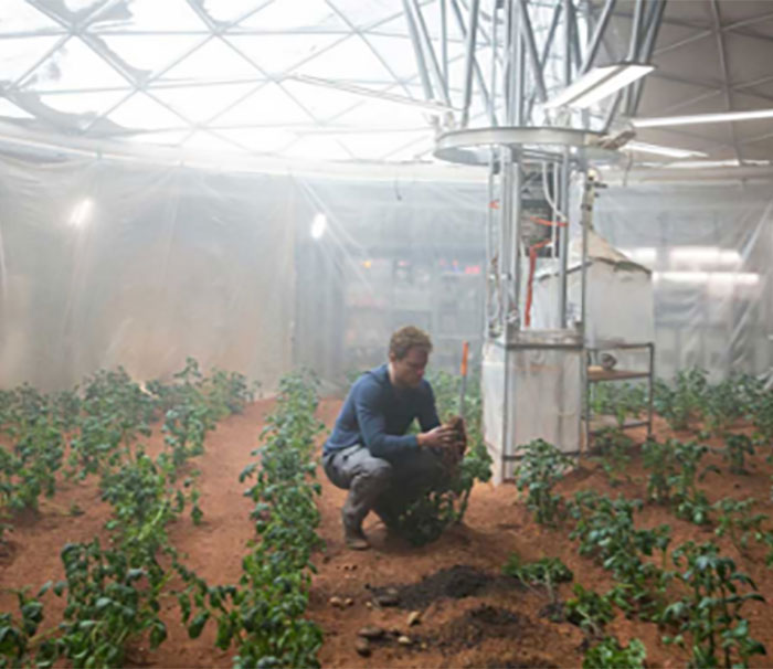 Nii nagu enamik toite, nii ka kartulid on teatud tingimustel surmavad ning ohutuse mõttes peaksite seda teadma. Ühe perekonna jaoks oli see karm õppetund. 8-aastane venelanna Maria Tðelõðeva jäi 2014. aastal orvuks, kuna kartulid surmasid kogu tema perekonna.