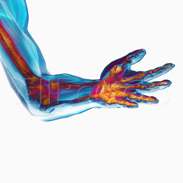 8. Inimese luud on 4 korda tugevamad kui metall.